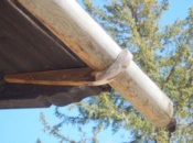GRONDAIA-LEGNO-TESTA-ANGOLATA 